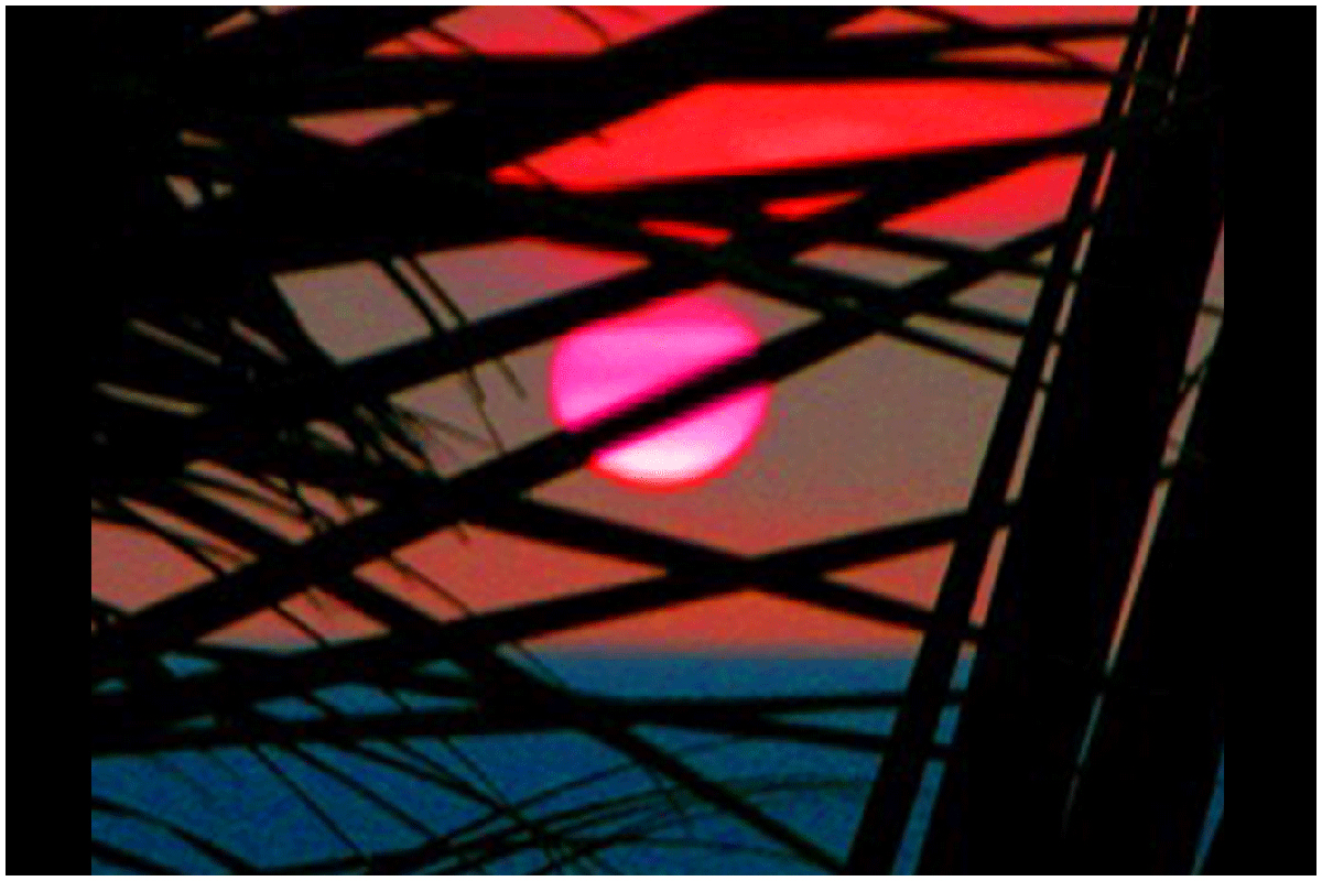 Sunset in Hawaii with Palm Trees